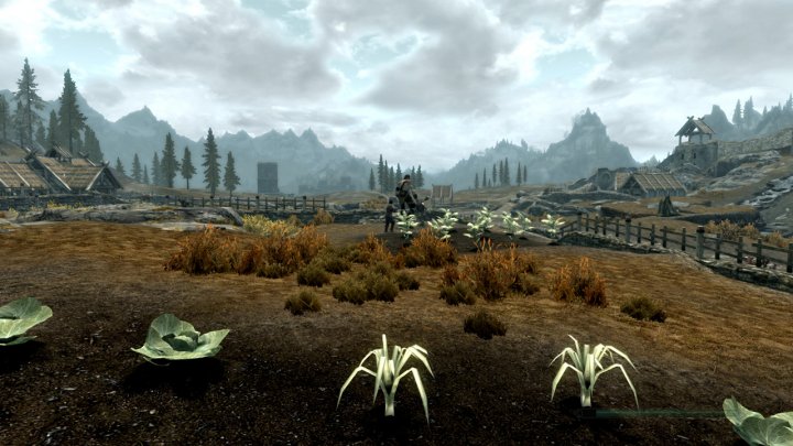 Screenshot de The Elder Scrolls V : Skyrim