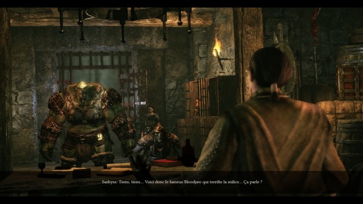 Screenshot de Of Orcs and Men