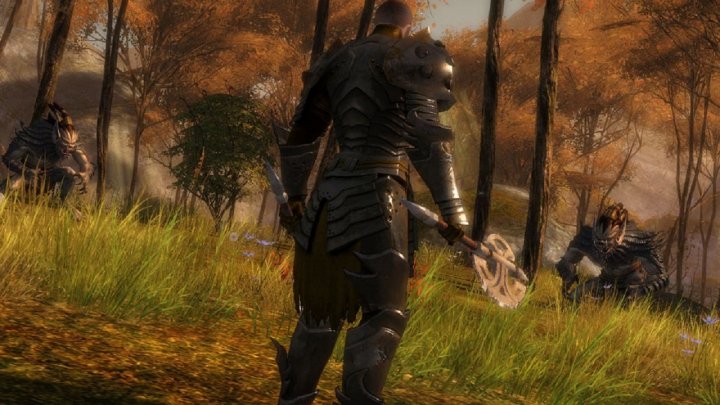 Screenshot de Guild Wars 2