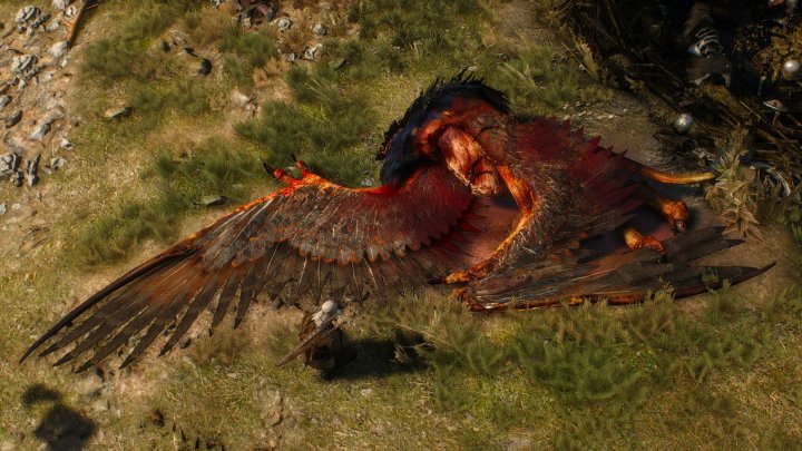 Screenshot de The Witcher 3 : Wild Hunt