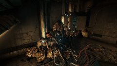 Image de Soma