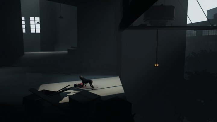 Screenshot de Inside