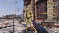 Image de Fallout 76