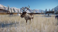 Image de Planet Zoo