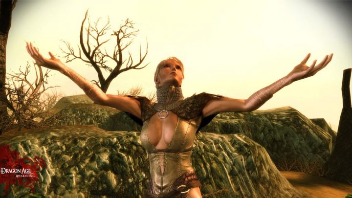 Screenshot de Dragon Age : Origins – Awakening