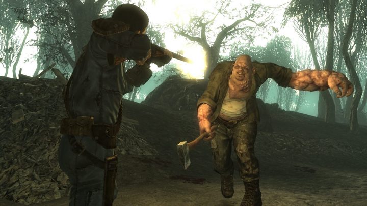Screenshot de Fallout 3 : Point Lookout