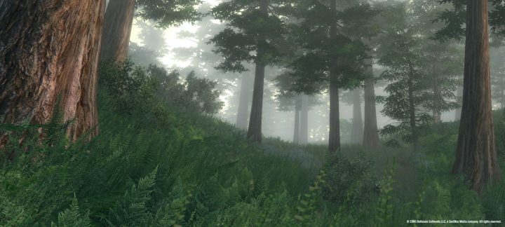 Screenshot de The Elder Scrolls IV : Oblivion