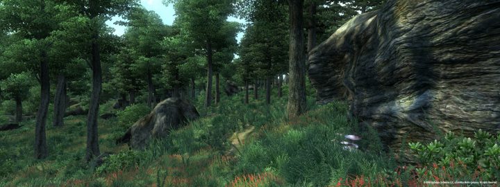 Screenshot de The Elder Scrolls IV : Oblivion