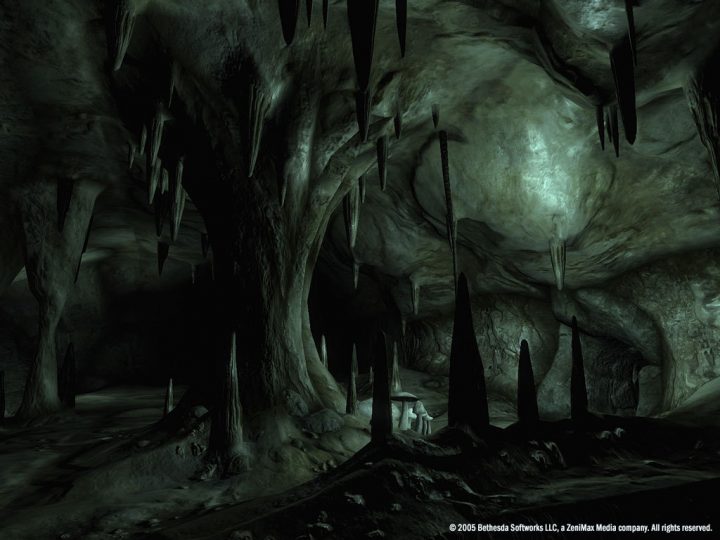 Screenshot de The Elder Scrolls IV : Oblivion
