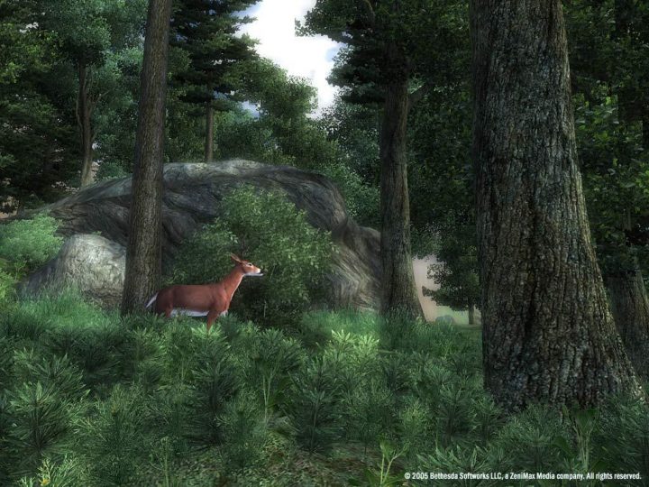 Screenshot de The Elder Scrolls IV : Oblivion