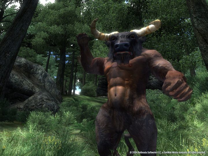 Screenshot de The Elder Scrolls IV : Oblivion