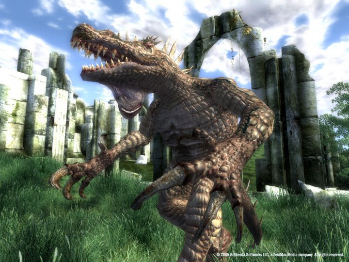 Screenshot de The Elder Scrolls IV : Oblivion