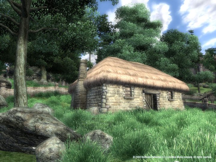 Screenshot de The Elder Scrolls IV : Oblivion