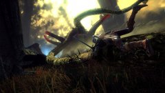 The Witcher Assassins of Kings XBox 360 7