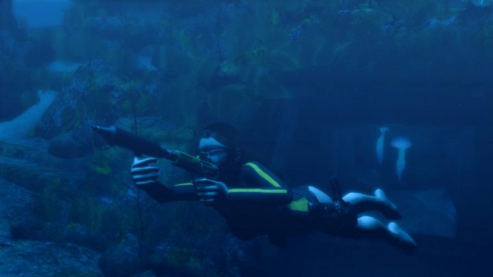 Screenshot de Tomb Raider : Underworld