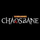 Jaquette de Warhammer : Chaosbane